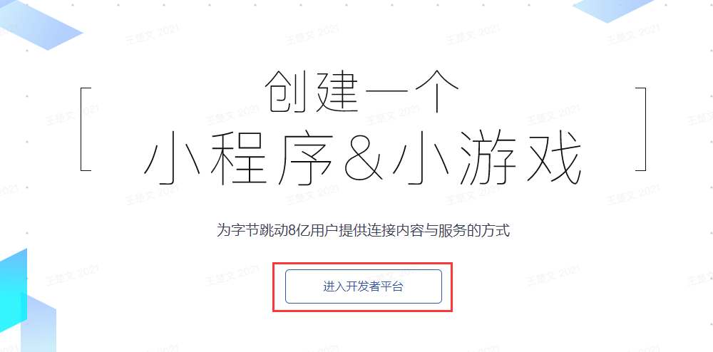 进入开发者平台